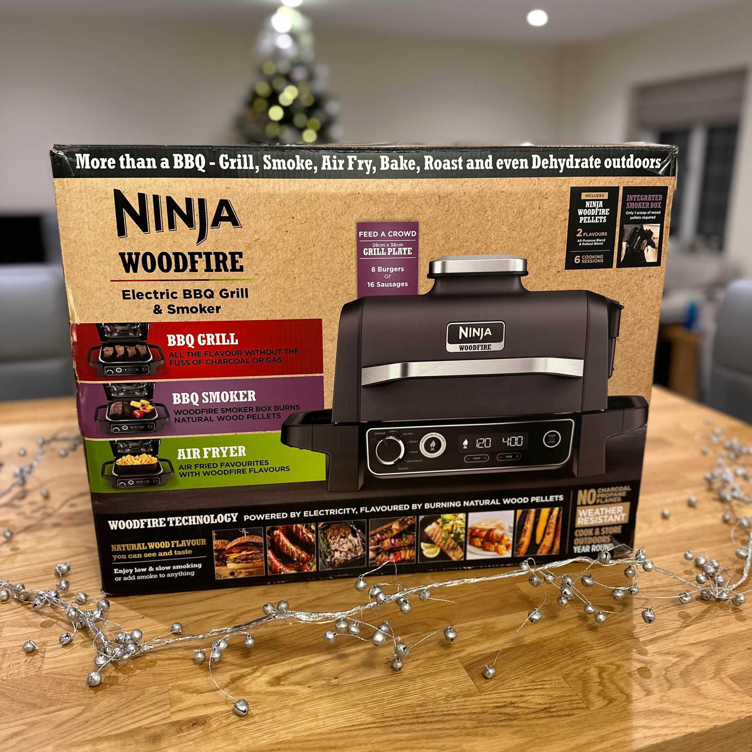 Ninja Woodfire Outdoor Grill Review